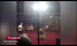 فیلم/ حمله ناگهانی شیر به دختر ۴ ساله در سیرک