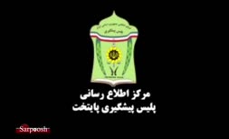 ویدئو/ مراقب گوشی خود هنگام ایستادن کنار خیابان باشیم