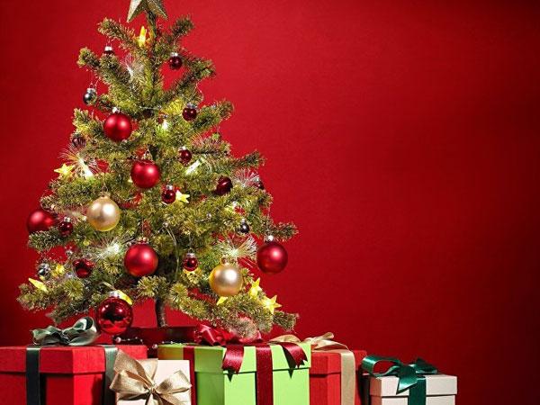 درخت کریسمس,اخبار جالب,خبرهای جالب,خواندنی ها و دیدنی ها