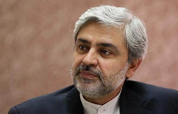 محمدعلی حسینی,اخبار سیاسی,خبرهای سیاسی,سیاست خارجی