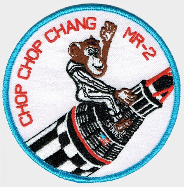 سفر فضایی میمون,اخبار علمی,خبرهای علمی,نجوم و فضا