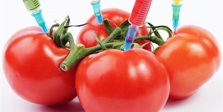 محصولات تراریخته,اخبار پزشکی,خبرهای پزشکی,بهداشت