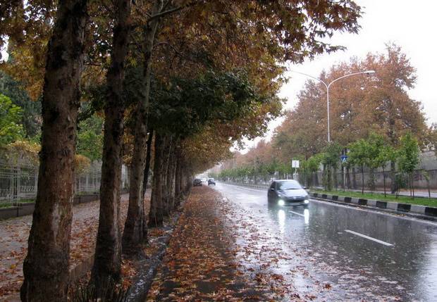 بارش باران بارش باران,اخبار اجتماعی,خبرهای اجتماعی,محیط زیست