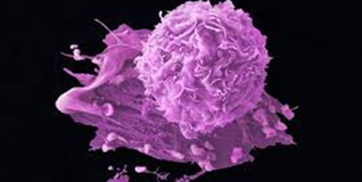 داروی ضد سرطان پارکینسون داروی ضد سرطان پارکینسون,اخبار پزشکی,خبرهای پزشکی,تازه های پزشکی