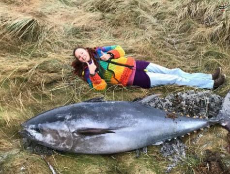 ماهی,اخبار جالب,خبرهای جالب,خواندنی ها و دیدنی ها