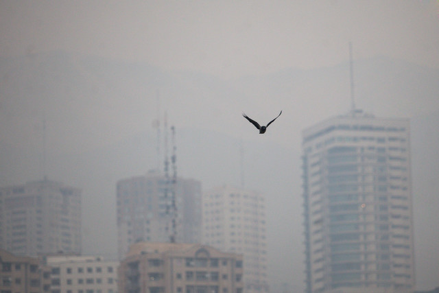 آلودگی هوا در تهران,اخبار اجتماعی,خبرهای اجتماعی,محیط زیست