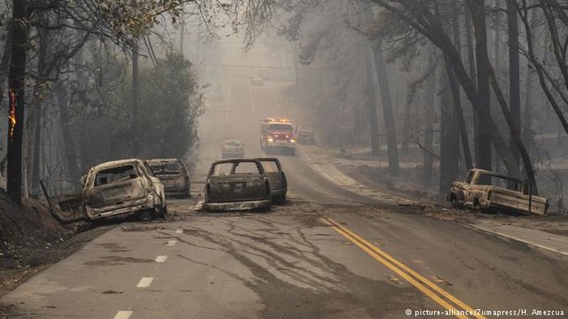 آتش سوزی کالیفرنیا,اخبار حوادث,خبرهای حوادث,حوادث امروز