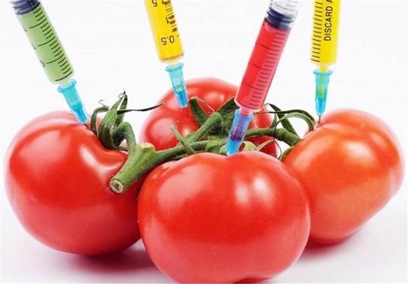 محصولات تراریخته,اخبار پزشکی,خبرهای پزشکی,بهداشت