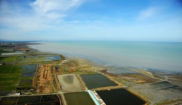 جزیره آشوراده,اخبار اجتماعی,خبرهای اجتماعی,شهر و روستا