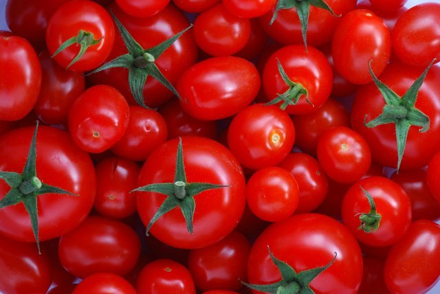 گوجه فرنگی گوجه فرنگی,اخبار اقتصادی,خبرهای اقتصادی,کشت و دام و صنعت