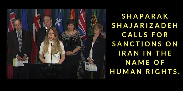 سوء استفاده نماینده پارلمان کانادا از زن ایرانی,اخبار سیاسی,خبرهای سیاسی,سیاست خارجی
