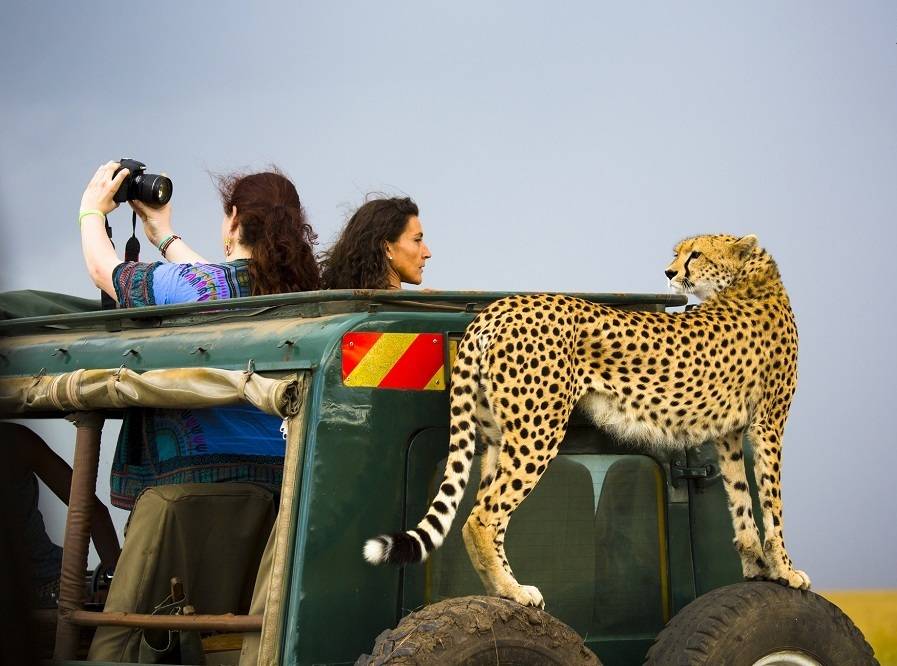 پارک حیات وحش در کنیا,اخبار جالب,خبرهای جالب,خواندنی ها و دیدنی ها