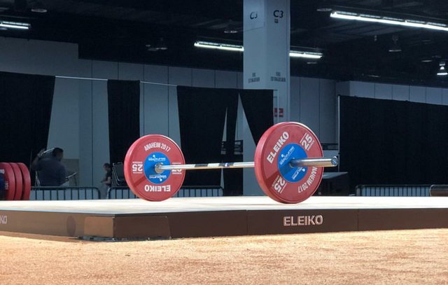 تغییر نایب رییس بانوان فدراسیون وزنه‌برداری,اخبار ورزشی,خبرهای ورزشی,ورزش بانوان