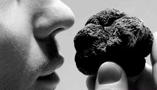 بوی سیاره‌های منظومه شمسی,اخبار علمی,خبرهای علمی,نجوم و فضا