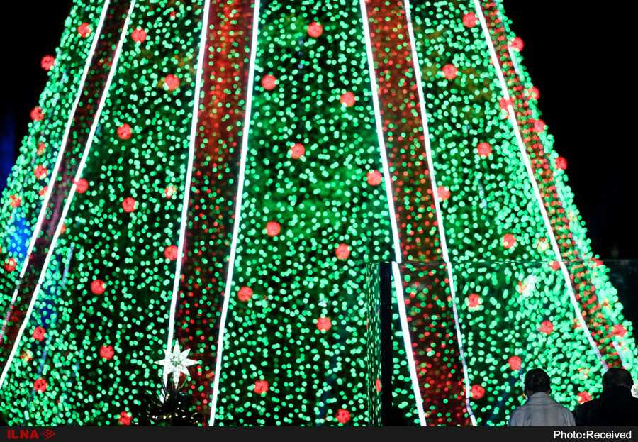 تصاویر درختان کریسمس,عکس های جذاب ترین درختان کریسمس,تصاویر عجیب ترین درختان کریسمس