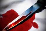 قتل,اخبار حوادث,خبرهای حوادث,جرم و جنایت