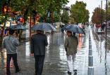 بارش باران,اخبار اجتماعی,خبرهای اجتماعی,محیط زیست