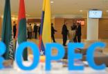 اوپک,اخبار اقتصادی,خبرهای اقتصادی,نفت و انرژی