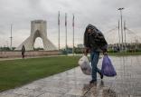 بارش باران,اخبار اجتماعی,خبرهای اجتماعی,محیط زیست