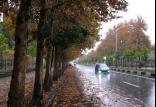 بارش باران,اخبار اجتماعی,خبرهای اجتماعی,محیط زیست