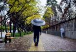 بارش باران,اخبار اجتماعی,خبرهای اجتماعی,محیط زیست