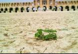 زاینده‌رود,اخبار اجتماعی,خبرهای اجتماعی,محیط زیست