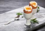 قیمت تخم مرغ,اخبار اقتصادی,خبرهای اقتصادی,کشت و دام و صنعت