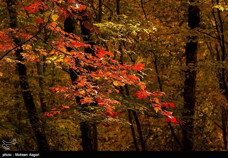 تصاویرطبیعت پاییزی گرگان, تصاویرگرگان,تصاویر پاییز