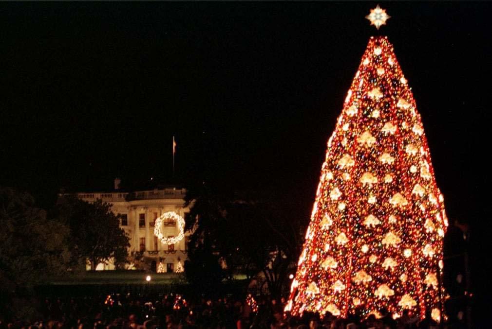 تصاویردرخت کریسمس کاخ سفید,تصاویرزیبا از درخت کریسمس کاخ سفید,تصاویرمختلف درخت کریسمس کاخ سفید