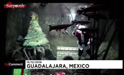 فیلم/ بابا نوئل دریایی در آکواریوم مکزیک