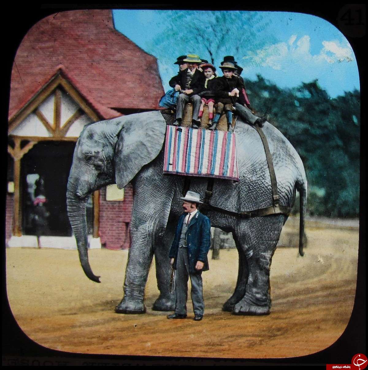 عکس از باغ‌وحش لندن,تصاویر رنگی از باغ‌وحش لندن,تصاویر رنگی باغ‌وحش لندن در یک و نیم قرن گذشته
