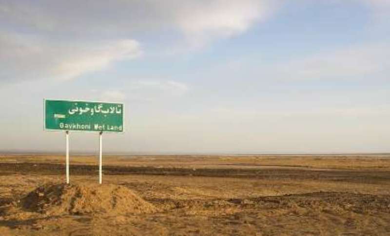 خشكی گاوخونی خشكی گاوخونی,اخبار اجتماعی,خبرهای اجتماعی,محیط زیست