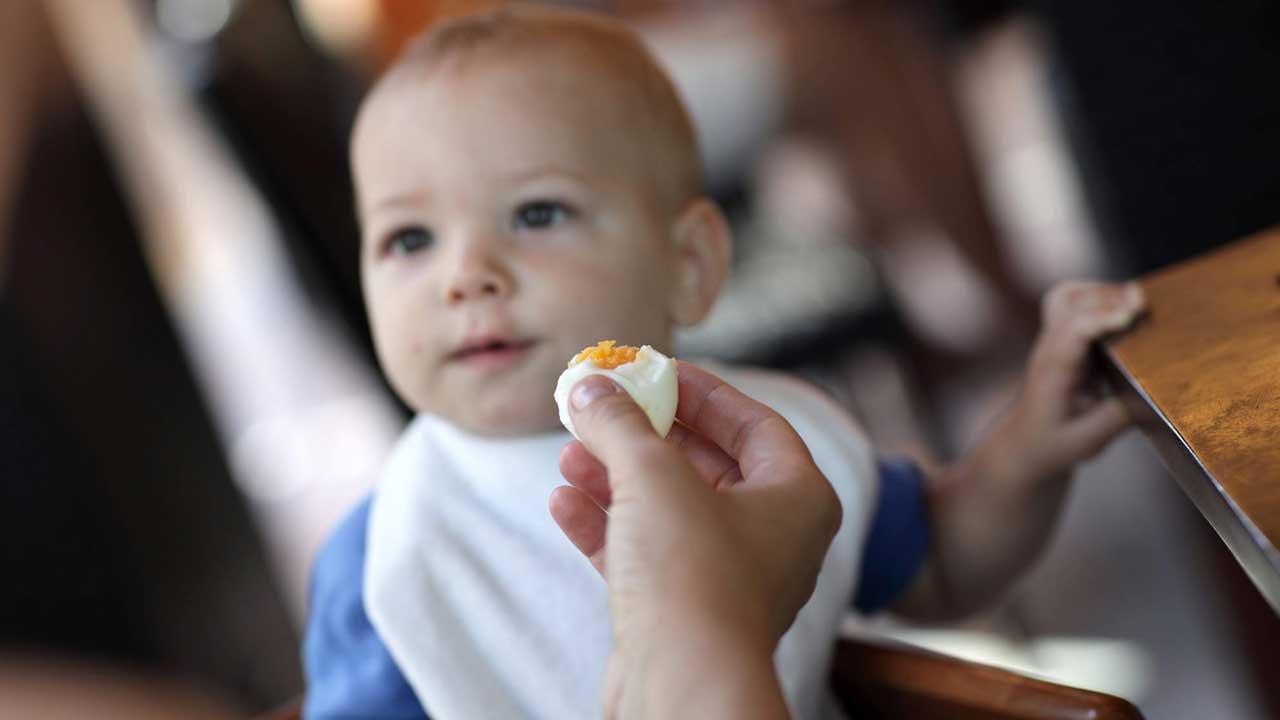 تغذیه نوزاد با تخم مرغ,اخبار پزشکی,خبرهای پزشکی,تازه های پزشکی