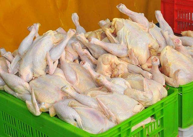 افزایش تولید ؛چاره کاهش قیمت مرغ