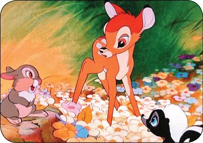 آهو,اخبار جالب,خبرهای جالب,خواندنی ها و دیدنی ها