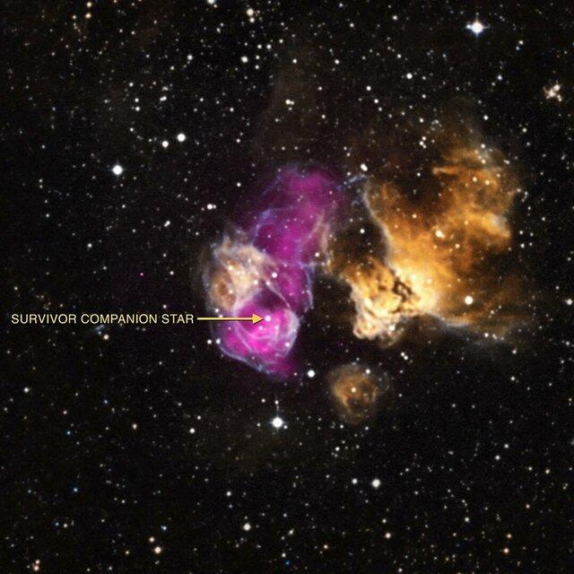 ستاره,اخبار علمی,خبرهای علمی,نجوم و فضا