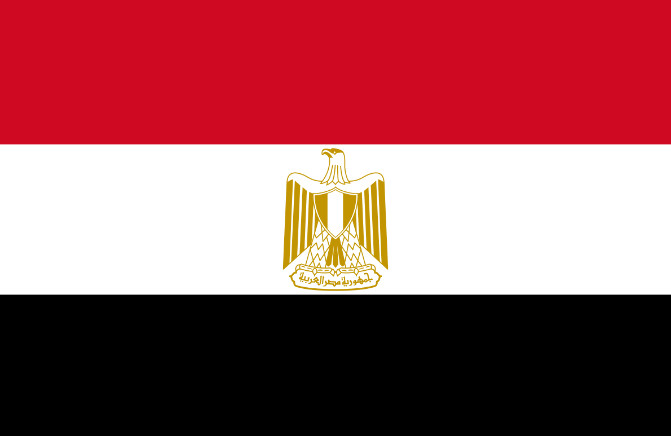 تروریست ها در مصر,اخبار سیاسی,خبرهای سیاسی,خاورمیانه