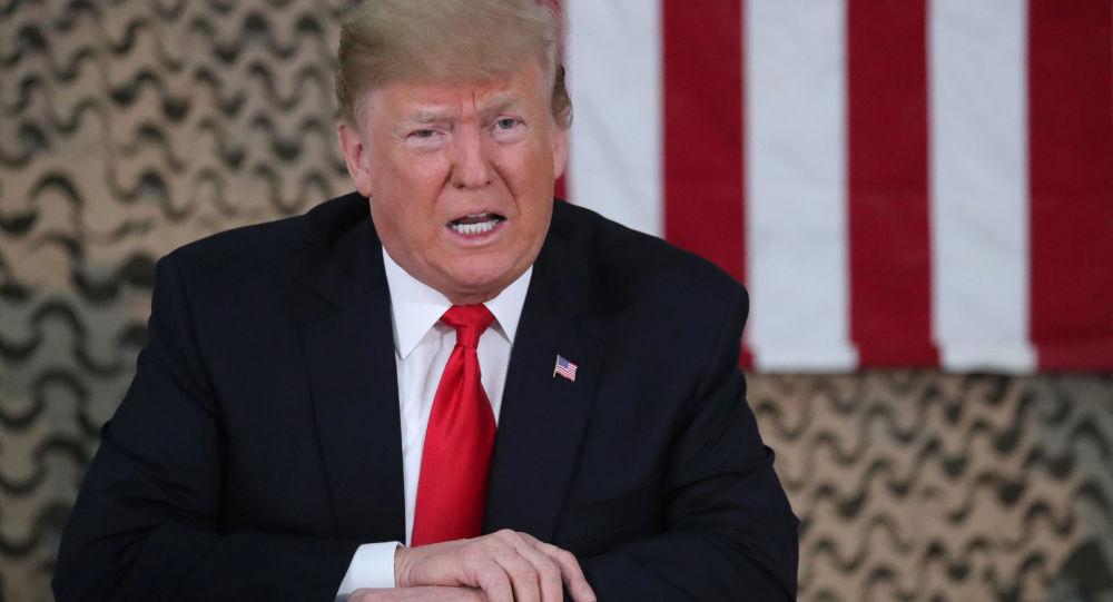 دونالد ترامپ دونالد ترامپ,اخبار سیاسی,خبرهای سیاسی,خاورمیانه