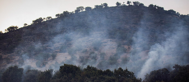 آتش سوزی جنگل های آستارا,اخبار حوادث,خبرهای حوادث,حوادث امروز