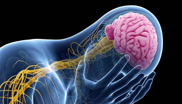 مشکل دارویی بیماران مبتلا به صرع,اخبار پزشکی,خبرهای پزشکی,بهداشت