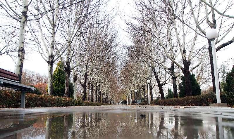 پیشبینی آب و هوا کشور پیشبینی آب و هوا کشور,اخبار اجتماعی,خبرهای اجتماعی,محیط زیست