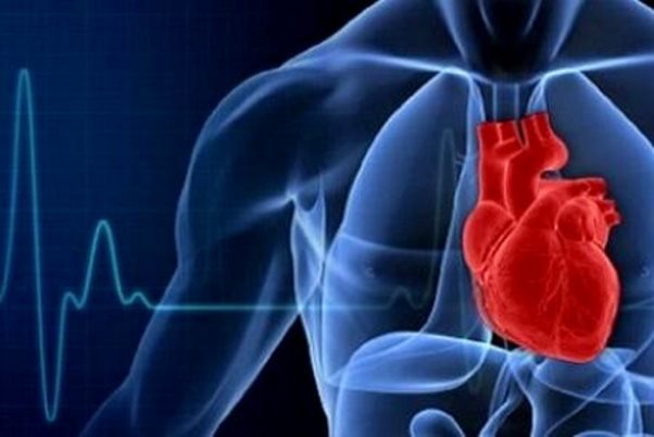 سلامت قلب سلامت قلب,اخبار پزشکی,خبرهای پزشکی,تازه های پزشکی