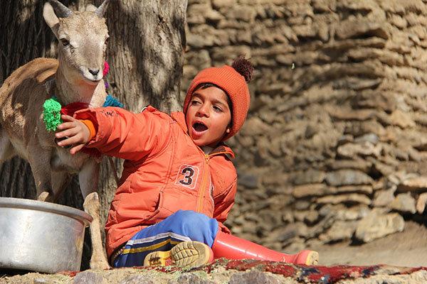 فیلم سینمایی اسکی باز,اخبار فیلم و سینما,خبرهای فیلم و سینما,سینمای ایران
