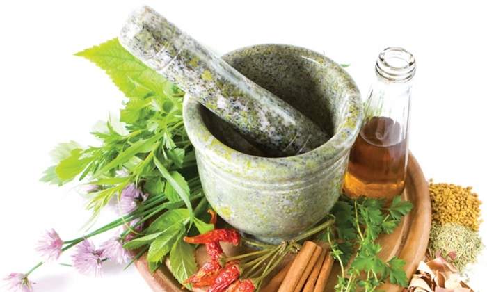 خواص گیاه دم اسب خواص گیاه دم اسب,اخبار پزشکی,خبرهای پزشکی,تازه های پزشکی