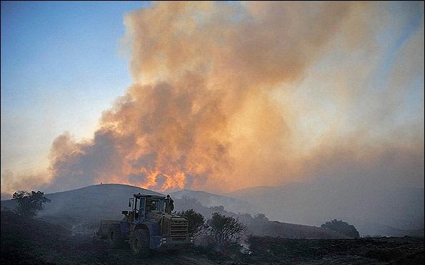خودسوزی دشت ها خودسوزی دشت ها,اخبار اجتماعی,خبرهای اجتماعی,محیط زیست