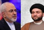 دیدار حکیم و ظریف,اخبار سیاسی,خبرهای سیاسی,سیاست خارجی
