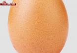 تخم مرغ,اخبار جالب,خبرهای جالب,خواندنی ها و دیدنی ها