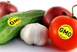 محصولات تراریخته,اخبار پزشکی,خبرهای پزشکی,بهداشت