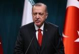 رجب طیب اردوغان,اخبار سیاسی,خبرهای سیاسی,خاورمیانه