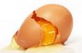 تخم مرغ پوسته قهوه‌ای,اخبار اقتصادی,خبرهای اقتصادی,کشت و دام و صنعت